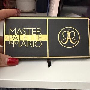 MASTER PALETTE By Mario Anastasia Beverly Hills